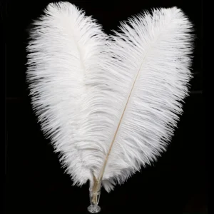 10Pcs White Ostrich Feathers (8-10") – Party Decor & DIY Crafts