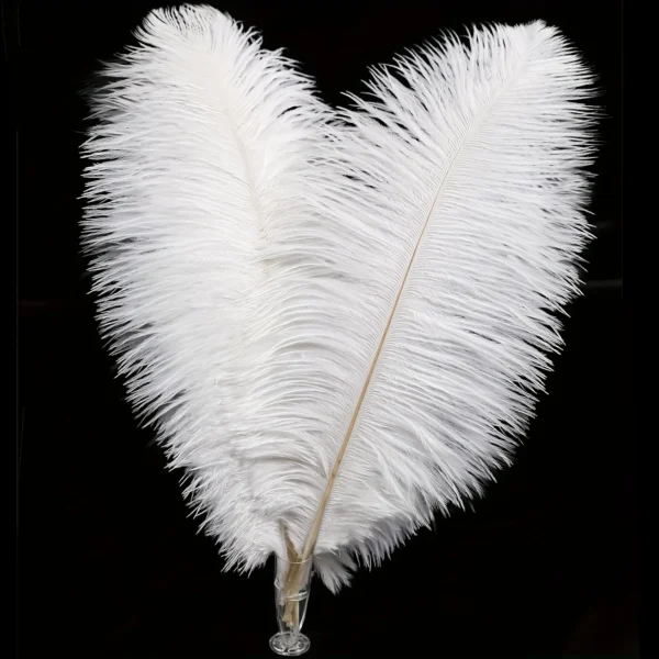 10Pcs White Ostrich Feathers (8-10") – Party Decor & DIY Crafts
