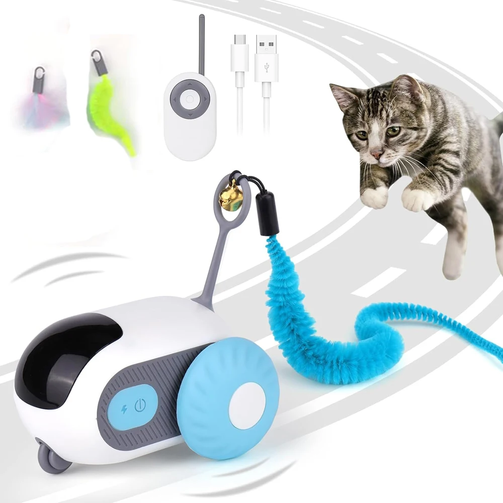 cat toy