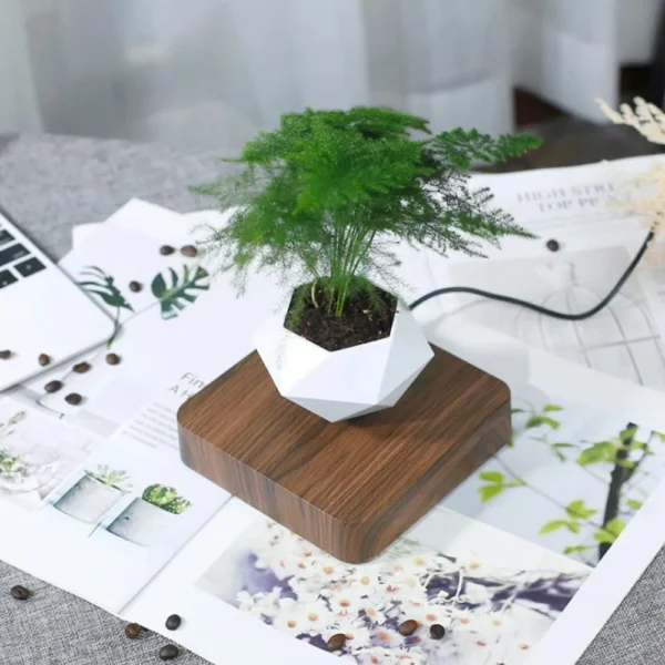 Levitating Air Bonsai Pot Rotation Flower Pot Planters Magnetic Suspension Floating Pot Potted Plant Home Without plants - Image 6